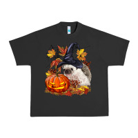 Pigment Black Halloween Hedgehog Urban Heavy Tee - LillyAllenDesigns