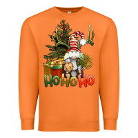 Carrot Ho Ho Ho Christmas Gnome Premium Sweatshirt - BundleAndBundleShop