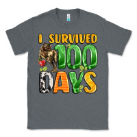 Charcoal Heather dinosaur 100day celebration Classic Tee - LillyAllenDesigns