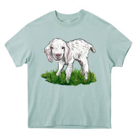Arona Baby Angora Goat Heavy Core Tee - LillyAllenDesigns