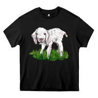 Black Baby Angora Goat Heavy Core Tee - LillyAllenDesigns