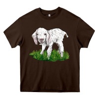 Chocolate Brown Baby Angora Goat Heavy Core Tee - LillyAllenDesigns
