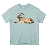 Arona Spanish Goat Heavy Core Tee - LillyAllenDesigns