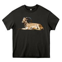 Asphalt Spanish Goat Heavy Core Tee - LillyAllenDesigns