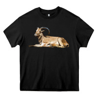 Black Spanish Goat Heavy Core Tee - LillyAllenDesigns