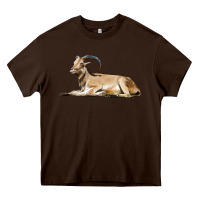 Chocolate Brown Spanish Goat Heavy Core Tee - LillyAllenDesigns