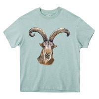 Arona spanish goat face Heavy Core Tee - LillyAllenDesigns
