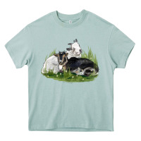 Arona two baby nigerian dwarf goat Heavy Core Tee - LillyAllenDesigns