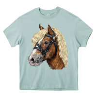 Arona Haflinger Avelignese Horse Heavy Core Tee - LillyAllenDesigns
