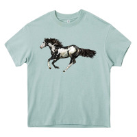Arona American Paint Horse Heavy Core Tee - LillyAllenDesigns