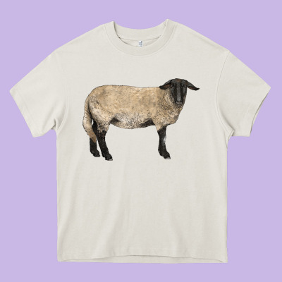 Suffolk Sheep Heavy Core Tee Designed By Lillyallendesigns