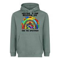 Sage Autism rainbow Heavyweight Hoodie - FaDigitalArtStudio