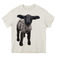 Cream suffolk baby sheep Heavy Core Tee - LillyAllenDesigns