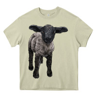 Mossy suffolk baby sheep Heavy Core Tee - LillyAllenDesigns