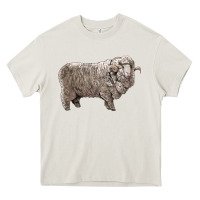 Cream rambouillet sheep Heavy Core Tee - LillyAllenDesigns