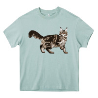 Arona Maine Coon Cat Heavy Core Tee - LillyAllenDesigns