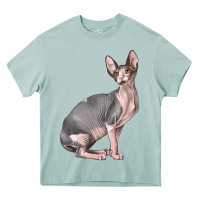 Arona Sphynx Cat Heavy Core Tee - LillyAllenDesigns
