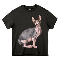 Asphalt Sphynx Cat Heavy Core Tee - LillyAllenDesigns