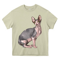 Mossy Sphynx Cat Heavy Core Tee - LillyAllenDesigns