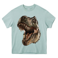 Arona Tyrannosaurus T Rex Face Heavy Core Tee - LillyAllenDesigns