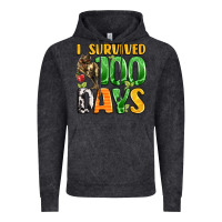 Vintage Black dinosaur 100day celebration Vintage Hoodie - LillyAllenDesigns