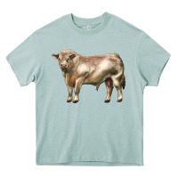 Arona charolais bull Heavy Core Tee - LillyAllenDesigns