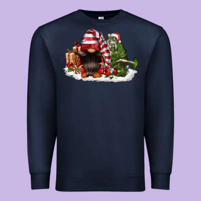 Christmas Gnome And Tree Premium Sweatshirt Designed By Fadigitalartstudio