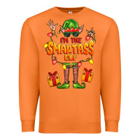 Carrot im the smartass elf Premium Sweatshirt - FaDigitalArtStudio