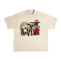 Sandshell Christmas Suffolk Sheep And Baby Suffolk Sheep Urban Heavy Tee - LillyAllenDesigns