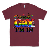 Burgundy sounds gay i'm in Classic Tee - LillyAllenDesigns