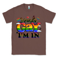 Chestnut sounds gay i'm in Classic Tee - LillyAllenDesigns