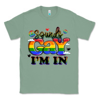 Sounds Gay I'm In Classic Tee | Teevron