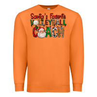 Carrot Santa's Favorite Volleyball Coach For Christmas Premium Sweatshirt - FaDigitalArtStudio