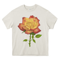 Cream rainbow's end rose Heavy Core Tee - LillyAllenDesigns