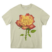 Mossy rainbow's end rose Heavy Core Tee - LillyAllenDesigns