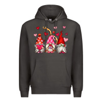 Smoke valentine's day gnomes Premium Hoodie - OliviaCreatesArt