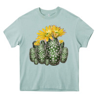 Arona texas rainbow cactus Heavy Core Tee - LillyAllenDesigns