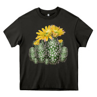 Asphalt texas rainbow cactus Heavy Core Tee - LillyAllenDesigns