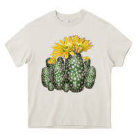 Cream texas rainbow cactus Heavy Core Tee - LillyAllenDesigns