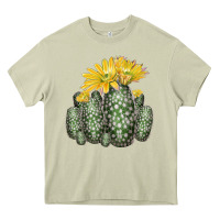 Mossy texas rainbow cactus Heavy Core Tee - LillyAllenDesigns