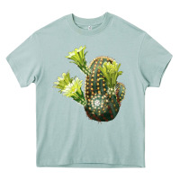 Arona nylon hedgehog cactus Heavy Core Tee - LillyAllenDesigns
