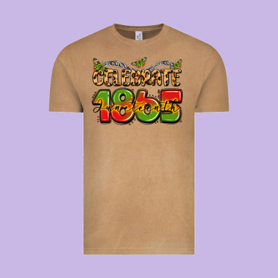 Celebrate 1865 Juneteenth Vintage Tee Designed By Lillyallendesigns