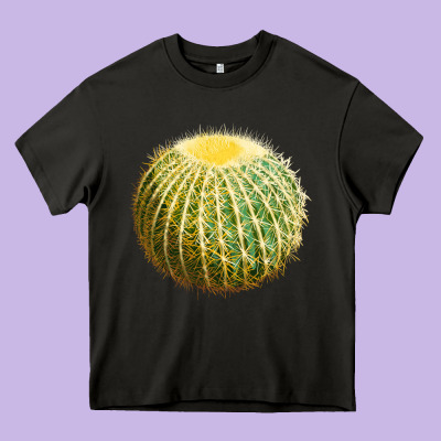 Golden Barrel Cactus Heavy Core Tee Designed By Lillyallendesigns