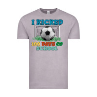 Vintage Zinc i kicked 100 days of school Vintage Tee - LillyAllenDesigns