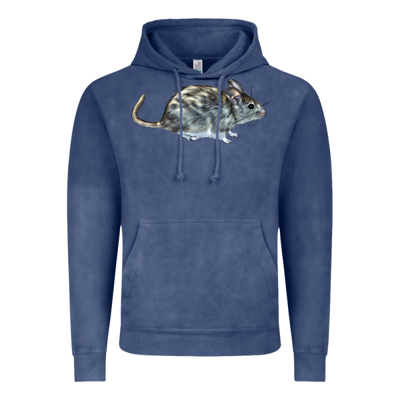 Packrat Aka, Woodrat Vintage Hoodie by LillyAllenDesigns | Teevron