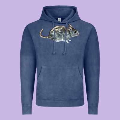 Packrat Aka, Woodrat Vintage Hoodie Designed By Lillyallendesigns