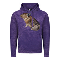 Cloud Purple pika Vintage Hoodie - LillyAllenDesigns