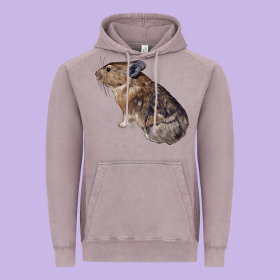 Pika Vintage Hoodie Designed By Lillyallendesigns