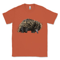 Copper short beaked echidna Classic Tee - LillyAllenDesigns