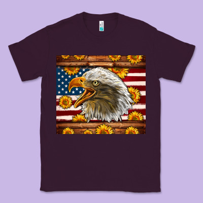 American Flag Eagle Tumbler Classic Tee Designed By Lillyallendesigns